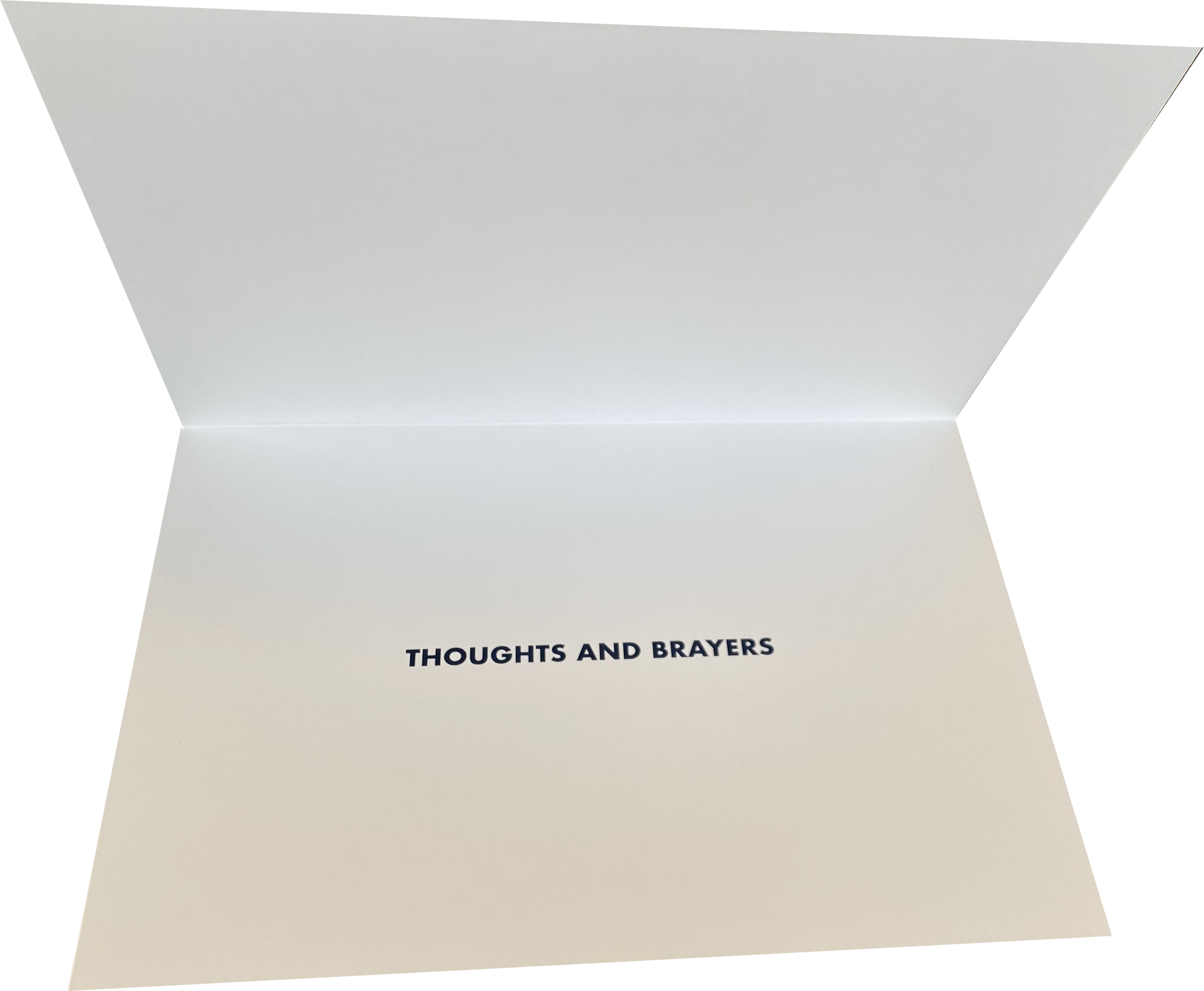 "Thoughts & Brayers" Greeting Card Collection (6-pack)